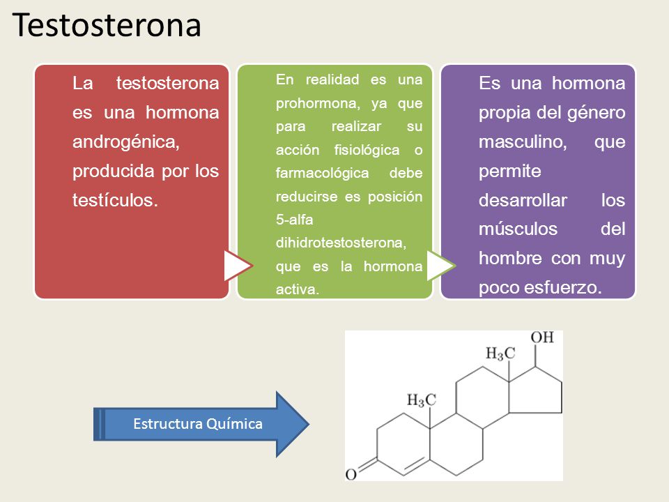 Testosterona La testosterona es una hormona androgénica, producida por los testículos.