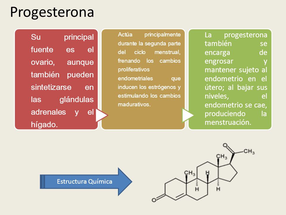 Progesterona Su principal fuente es el ovario, aunque también pueden sintetizarse en las glándulas adrenales y el hígado.