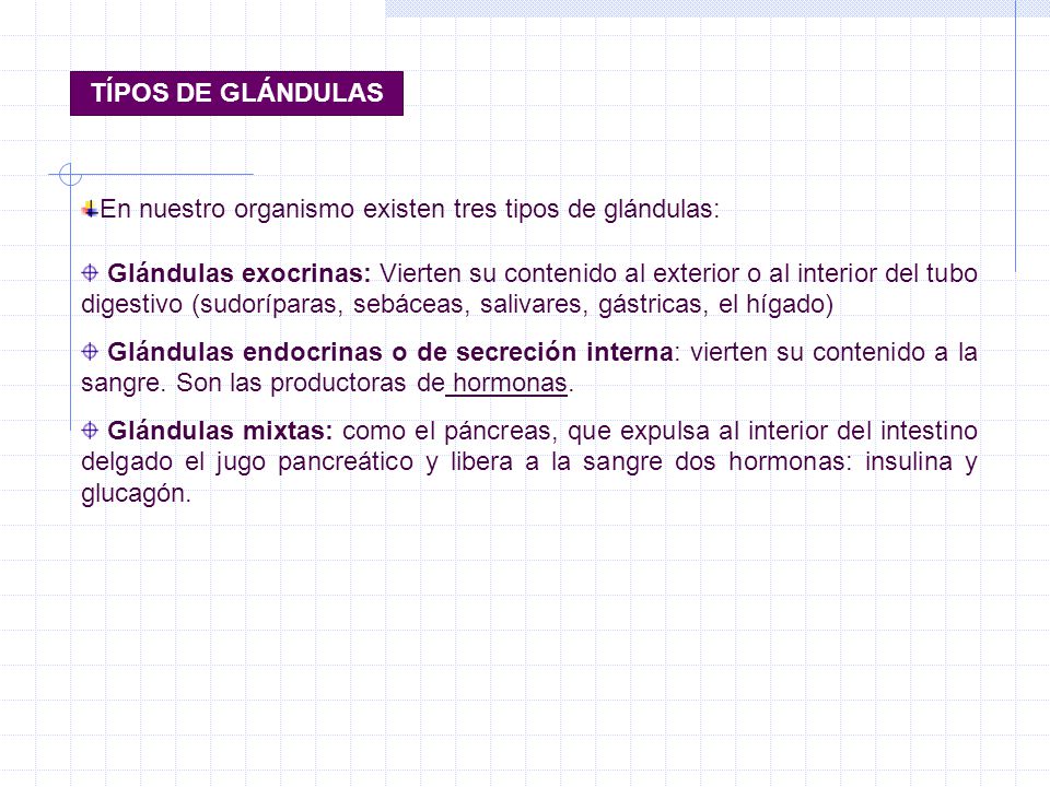 TÍPOS DE GLÁNDULAS En nuestro organismo existen tres tipos de glándulas: