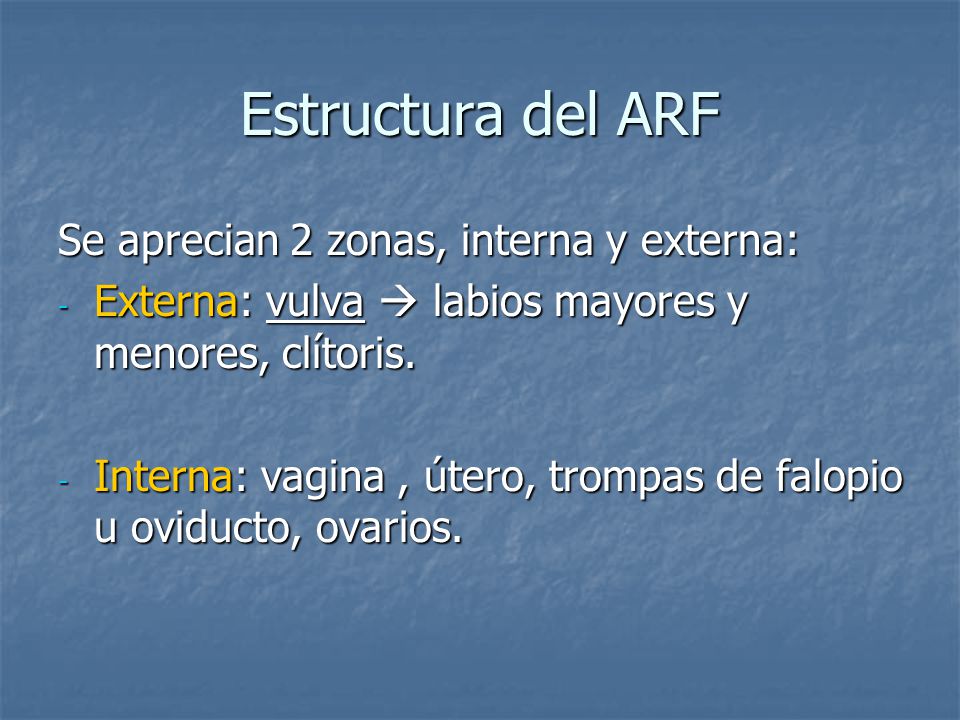 Estructura del ARF Se aprecian 2 zonas, interna y externa: