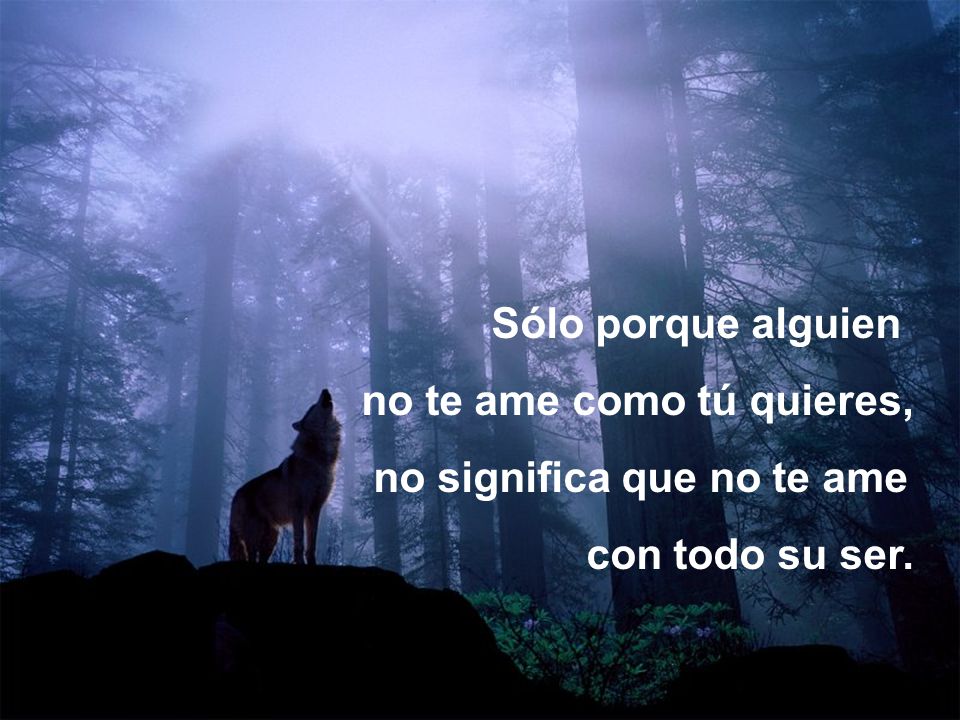 Sólo porque alguien no te ame como tú quieres, no significa que no te ame con todo su ser.