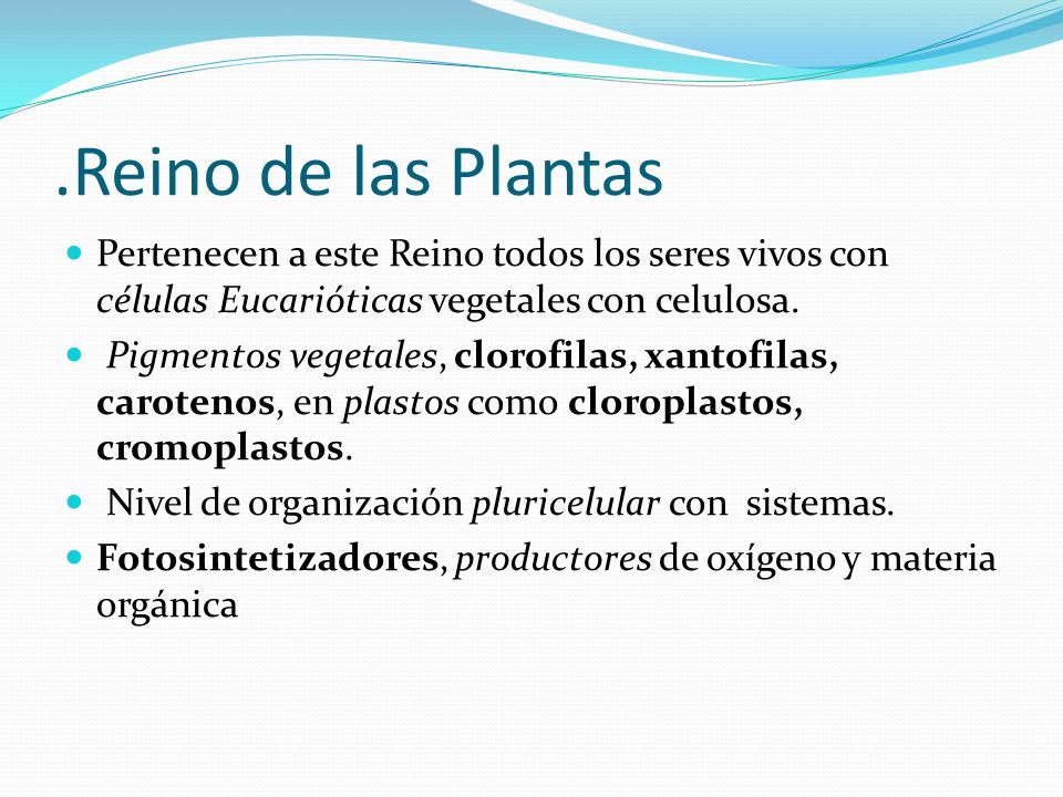 .Reino de las Plantas Pertenecen a este Reino todos los seres vivos con células Eucarióticas vegetales con celulosa.