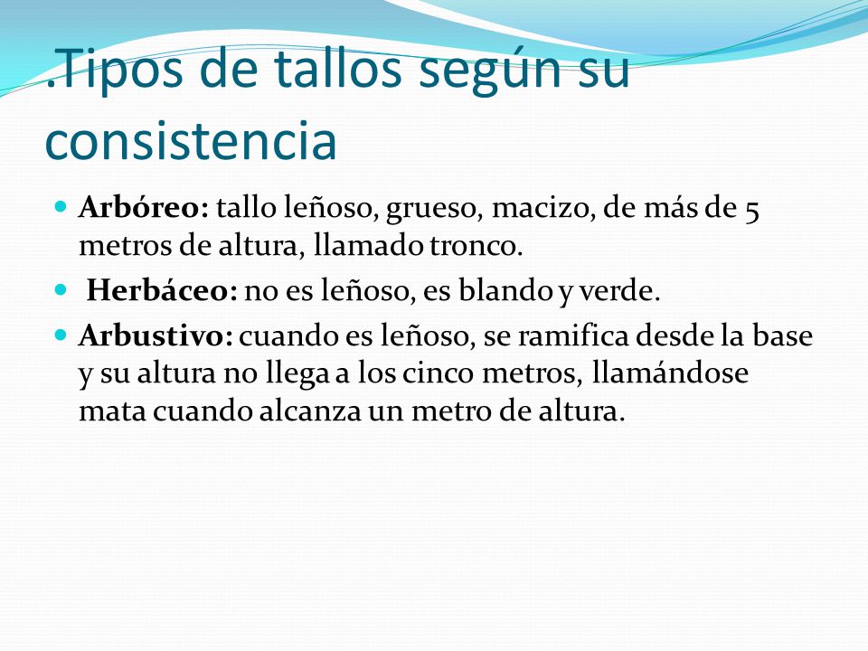 .Tipos de tallos según su consistencia
