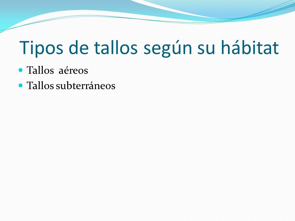 Tipos de tallos según su hábitat