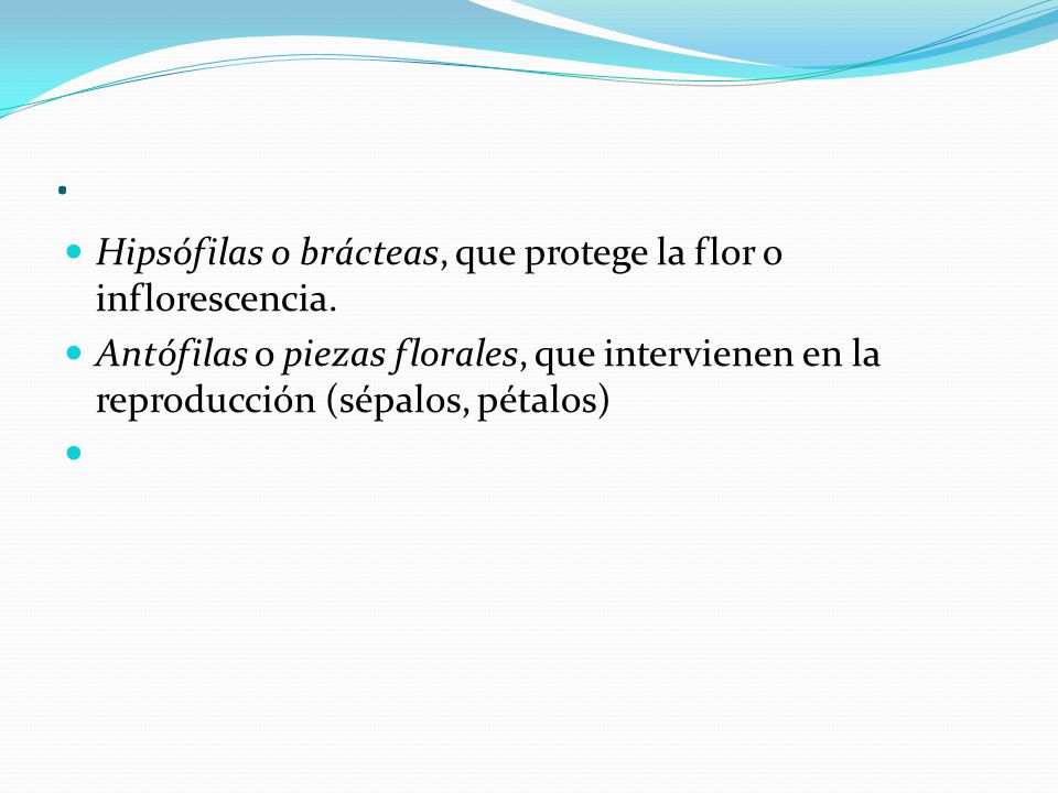 . Hipsófilas o brácteas, que protege la flor o inflorescencia.