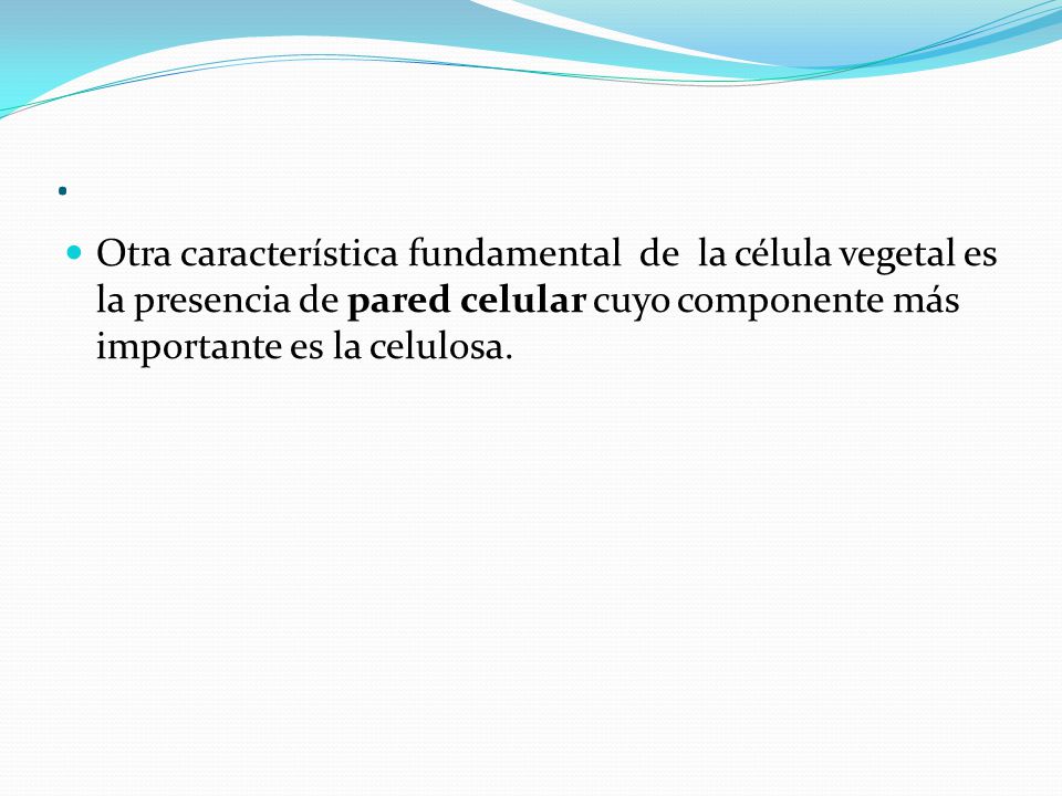 . Otra característica fundamental de la célula vegetal es la presencia de pared celular cuyo componente más importante es la celulosa.