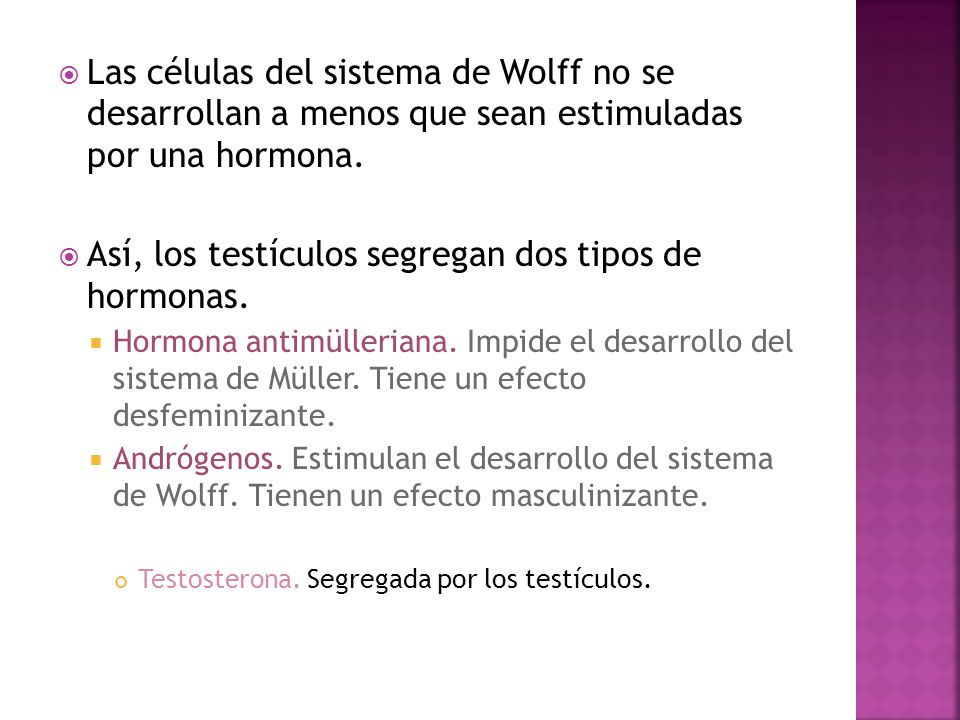 Así, los testículos segregan dos tipos de hormonas.