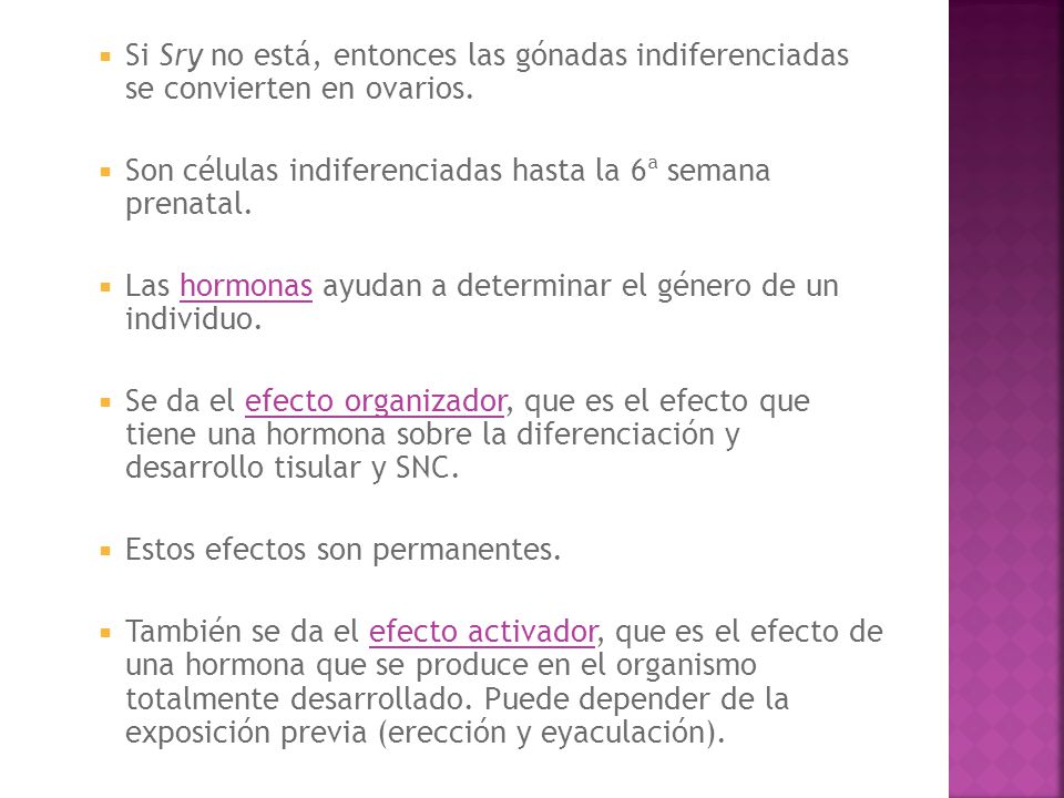 Si Sry no está, entonces las gónadas indiferenciadas se convierten en ovarios.