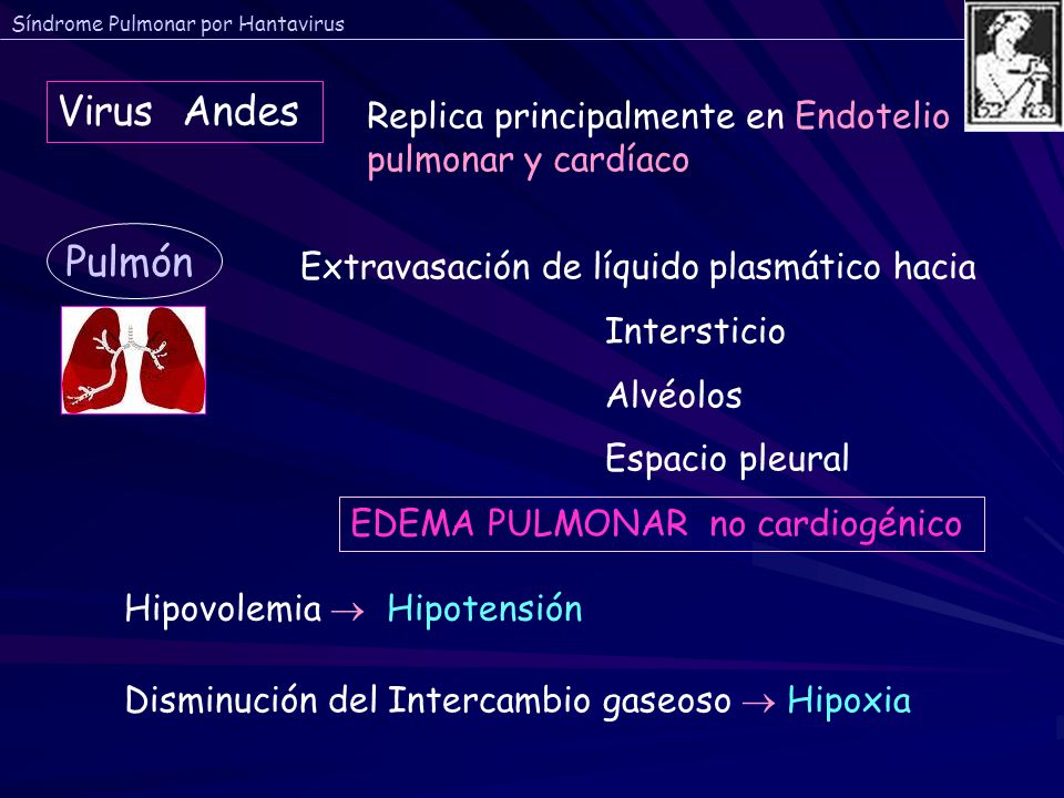Virus Andes Replica principalmente en Endotelio pulmonar y cardíaco. Pulmón. Extravasación de líquido plasmático hacia.