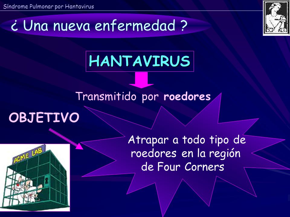 ¿ Una nueva enfermedad HANTAVIRUS OBJETIVO Transmitido por roedores