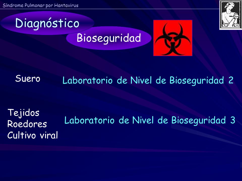 Diagnóstico Bioseguridad Suero Laboratorio de Nivel de Bioseguridad 2