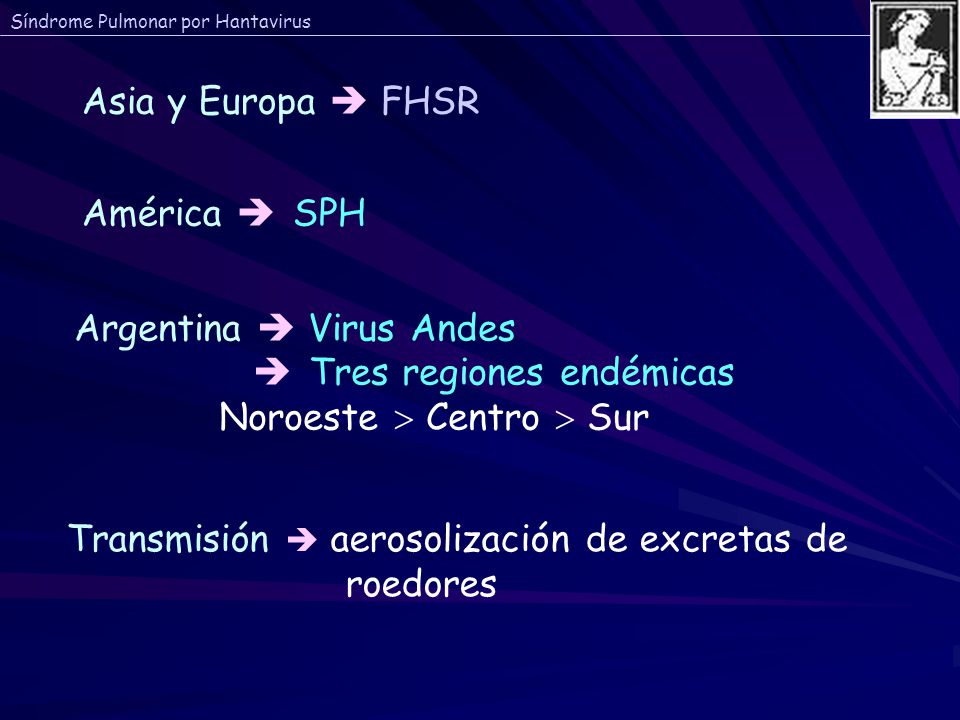 Asia y Europa  FHSR América  SPH. Argentina  Virus Andes.  Tres regiones endémicas. Noroeste  Centro  Sur.