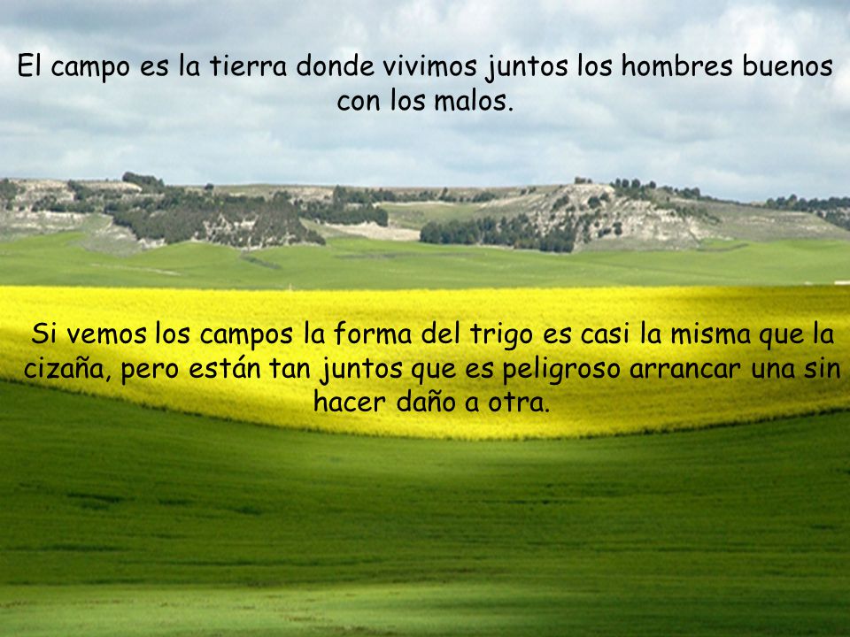 El campo es la tierra donde vivimos juntos los hombres buenos con los malos.
