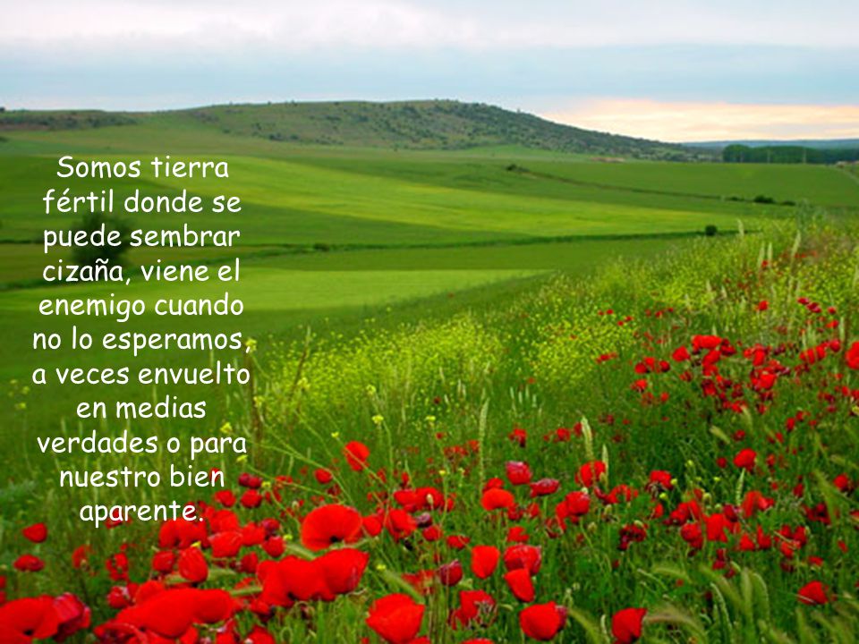 Somos tierra fértil donde se puede sembrar cizaña, viene el enemigo cuando no lo esperamos, a veces envuelto en medias verdades o para nuestro bien aparente.