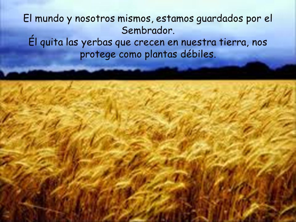 El mundo y nosotros mismos, estamos guardados por el Sembrador