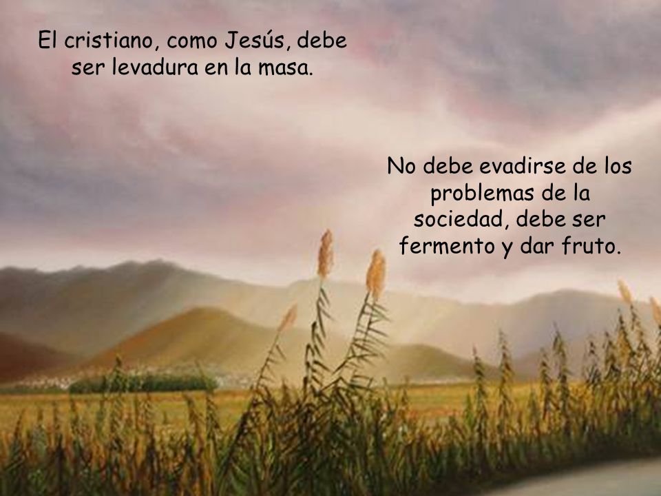 El cristiano, como Jesús, debe ser levadura en la masa.