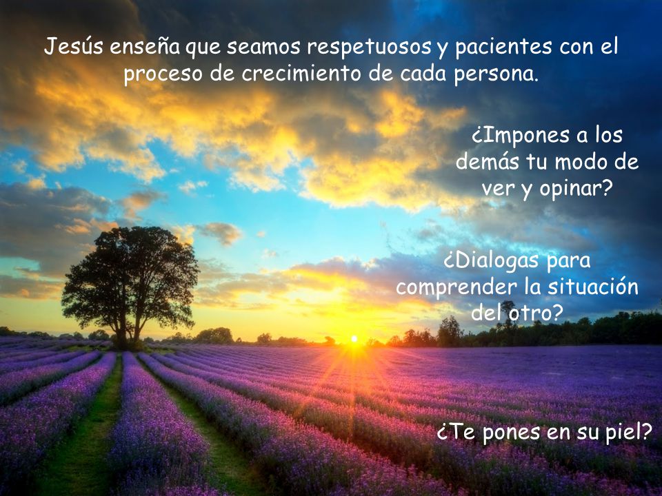 ¿Impones a los demás tu modo de ver y opinar