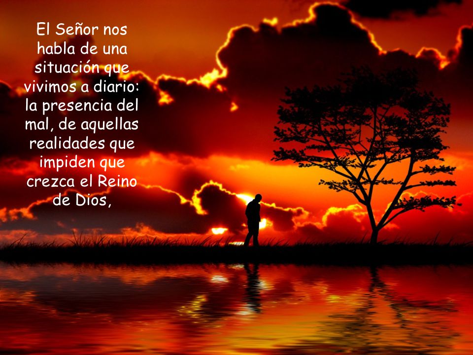 El Señor nos habla de una situación que vivimos a diario: la presencia del mal, de aquellas realidades que impiden que crezca el Reino de Dios,