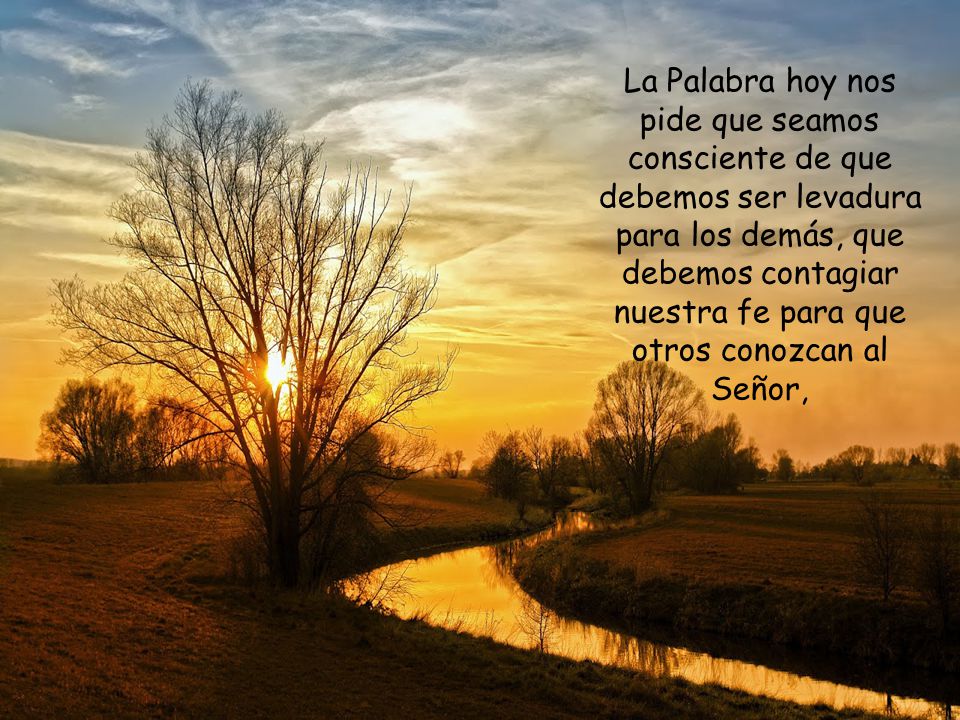 La Palabra hoy nos pide que seamos consciente de que debemos ser levadura para los demás, que debemos contagiar nuestra fe para que otros conozcan al Señor,