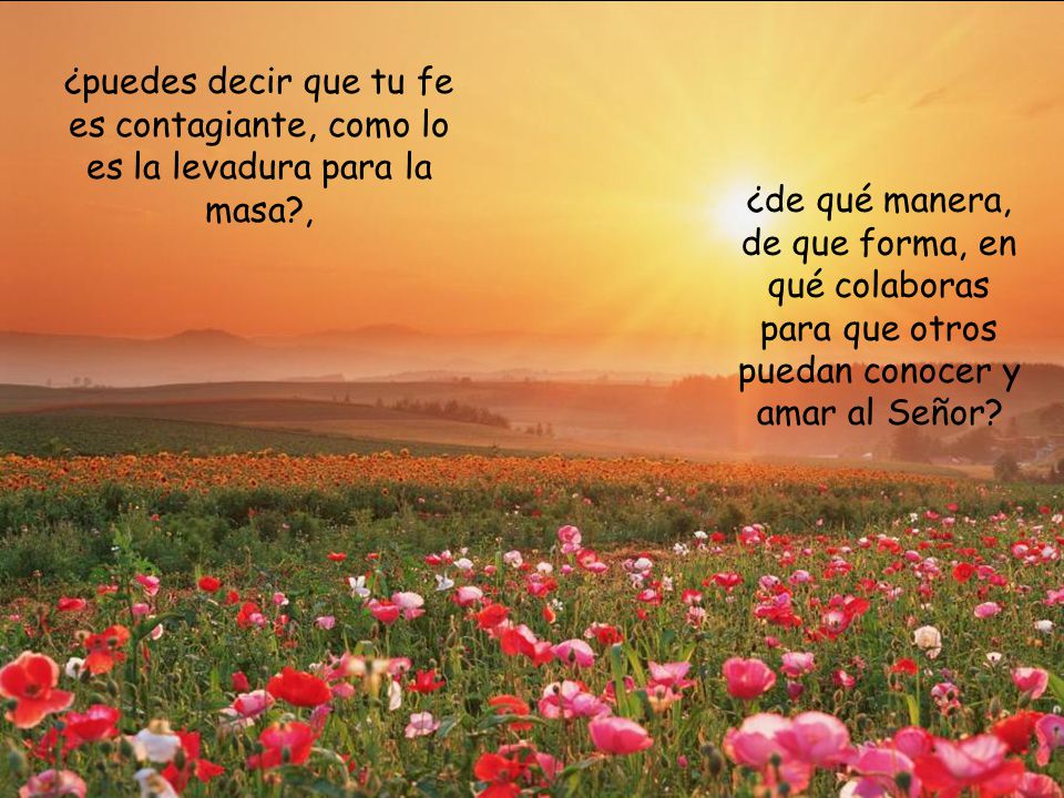 ¿puedes decir que tu fe es contagiante, como lo es la levadura para la masa ,