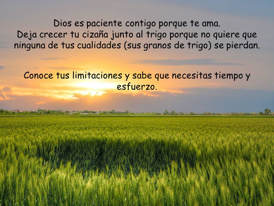 Conoce tus limitaciones y sabe que necesitas tiempo y esfuerzo.