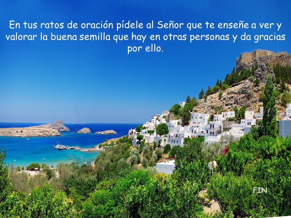 En tus ratos de oración pídele al Señor que te enseñe a ver y valorar la buena semilla que hay en otras personas y da gracias por ello.