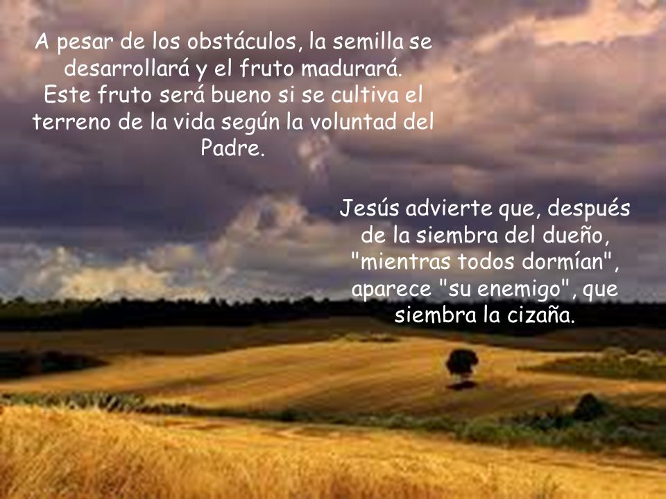 A pesar de los obstáculos, la semilla se desarrollará y el fruto madurará. Este fruto será bueno si se cultiva el terreno de la vida según la voluntad del Padre.