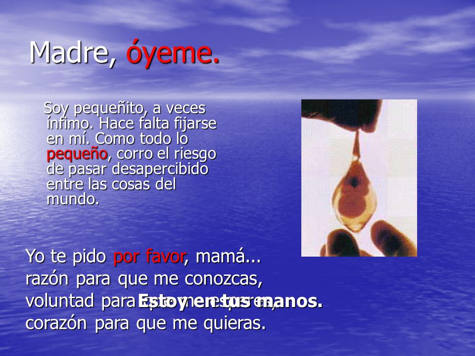 Madre, óyeme. Yo te pido por favor, mamá...
