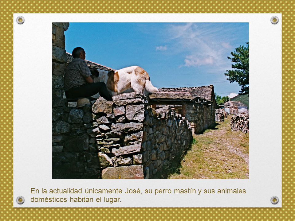 En la actualidad únicamente José, su perro mastín y sus animales domésticos habitan el lugar.