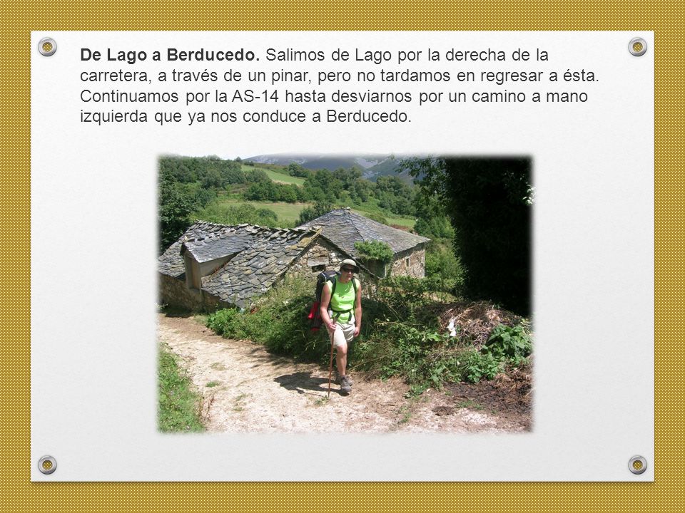 De Lago a Berducedo. Salimos de Lago por la derecha de la carretera, a través de un pinar, pero no tardamos en regresar a ésta.