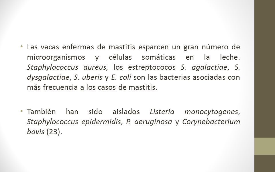 Las vacas enfermas de mastitis esparcen un gran número de microorganismos y células somáticas en la leche. Staphylococcus aureus, los estreptococos S. agalactiae, S. dysgalactiae, S. uberis y E. coli son las bacterias asociadas con más frecuencia a los casos de mastitis.