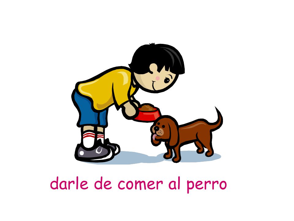 darle de comer al perro