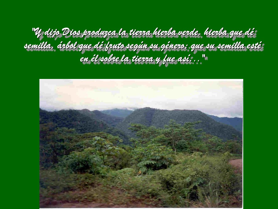 Y dijo Dios produzca la tierra hierba verde, hierba que dé semilla, árbol que dé fruto según su género; que su semilla esté en él sobre la tierra y fue así...