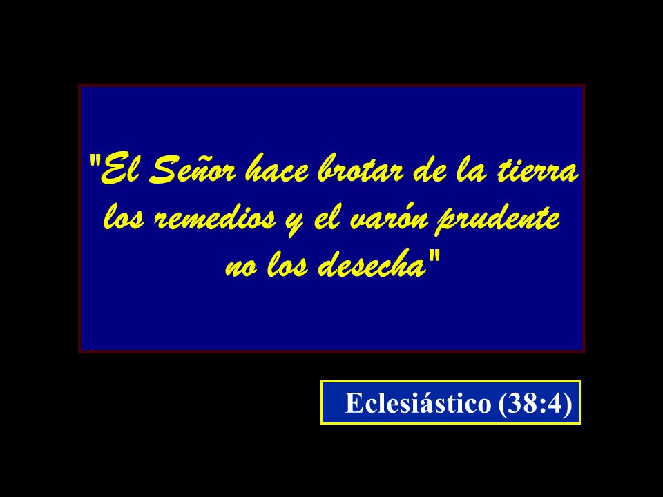 El Señor hace brotar de la tierra los remedios y el varón prudente no los desecha