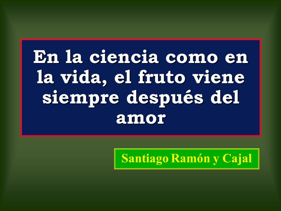 En la ciencia como en la vida, el fruto viene siempre después del amor