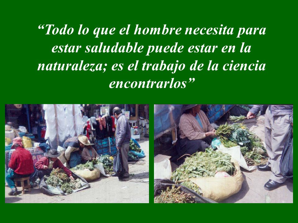 Todo lo que el hombre necesita para estar saludable puede estar en la naturaleza; es el trabajo de la ciencia encontrarlos
