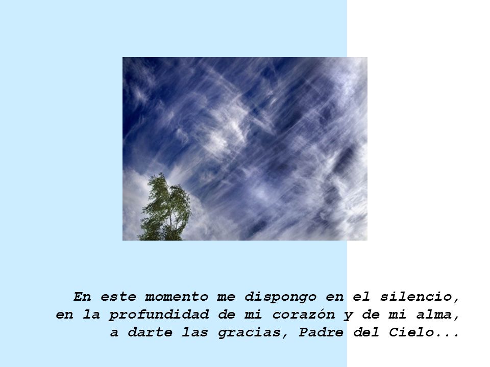 En este momento me dispongo en el silencio, en la profundidad de mi corazón y de mi alma, a darte las gracias, Padre del Cielo...