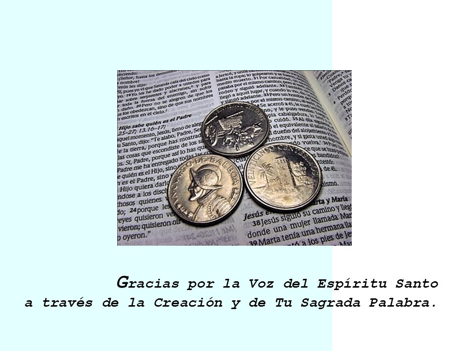 Gracias por la Voz del Espíritu Santo a través de la Creación y de Tu Sagrada Palabra.