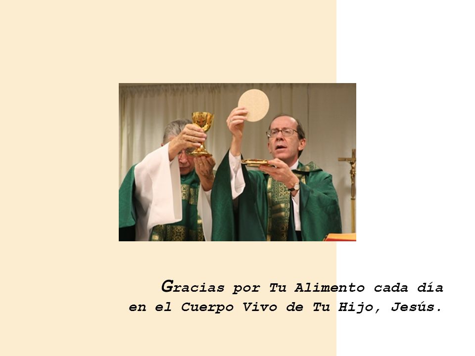 Gracias por Tu Alimento cada día en el Cuerpo Vivo de Tu Hijo, Jesús.