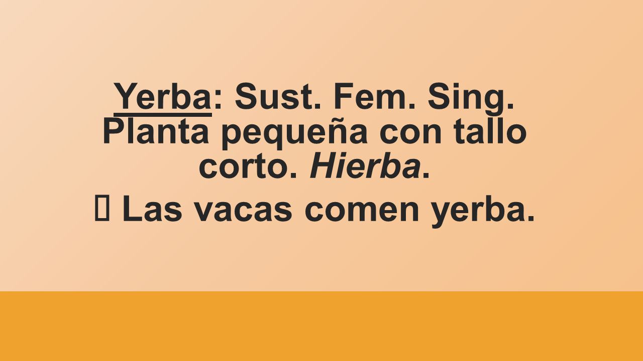 Yerba: Sust. Fem. Sing. Planta pequeña con tallo corto. Hierba.