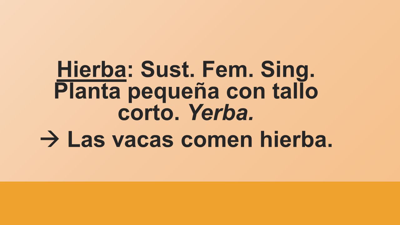 Hierba: Sust. Fem. Sing. Planta pequeña con tallo corto. Yerba.