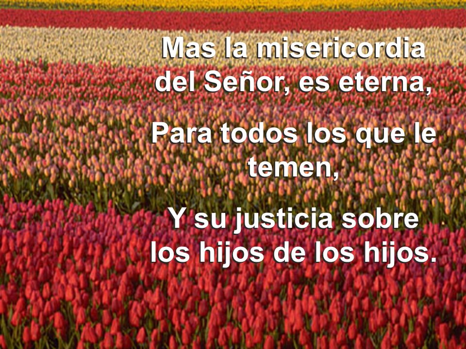 Mas la misericordia del Señor, es eterna, Para todos los que le temen,