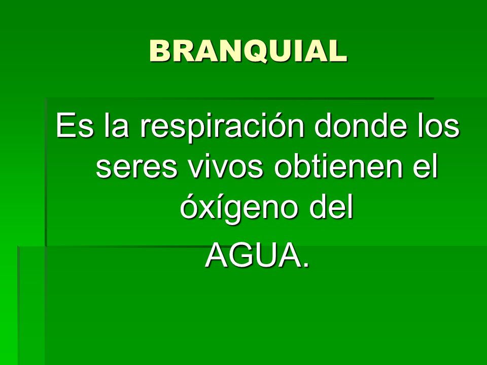 Es la respiración donde los seres vivos obtienen el óxígeno del