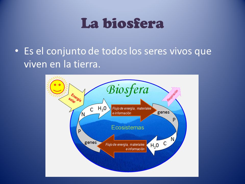 La biosfera Es el conjunto de todos los seres vivos que viven en la tierra.