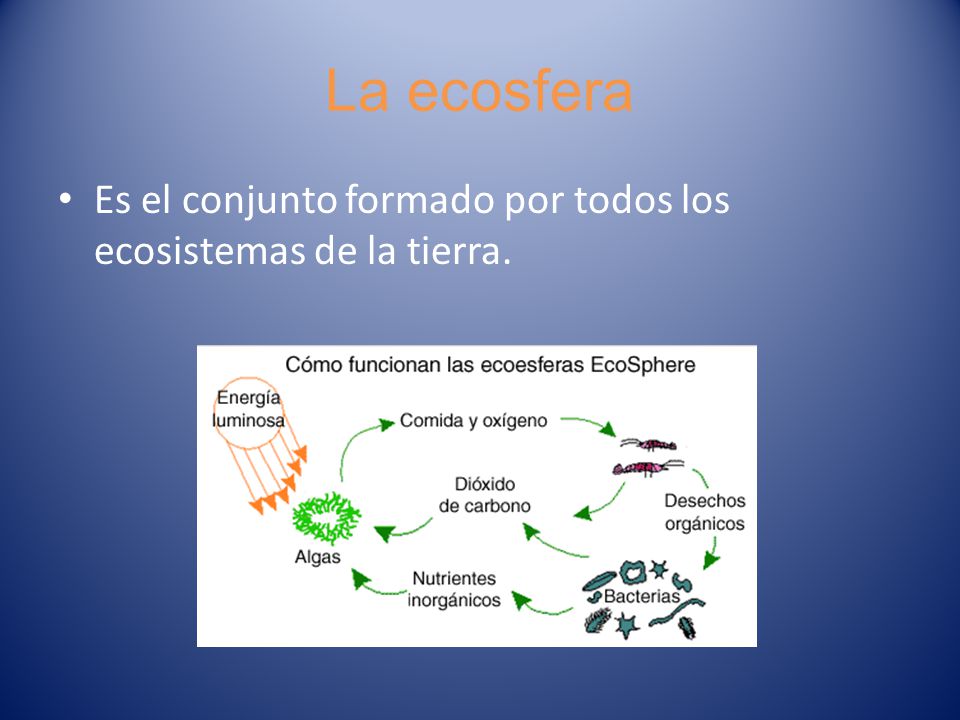 La ecosfera Es el conjunto formado por todos los ecosistemas de la tierra.