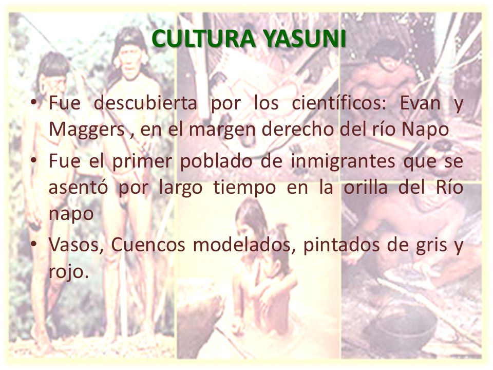 CULTURA YASUNI Fue descubierta por los científicos: Evan y Maggers , en el margen derecho del río Napo.