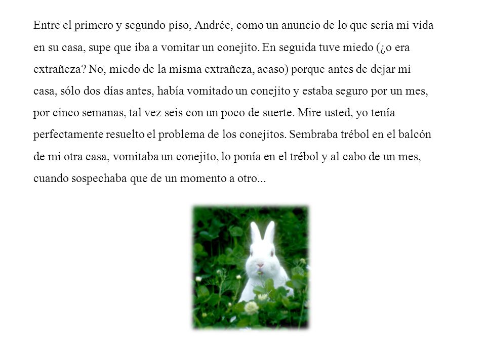 Entre el primero y segundo piso, Andrée, como un anuncio de lo que sería mi vida en su casa, supe que iba a vomitar un conejito.
