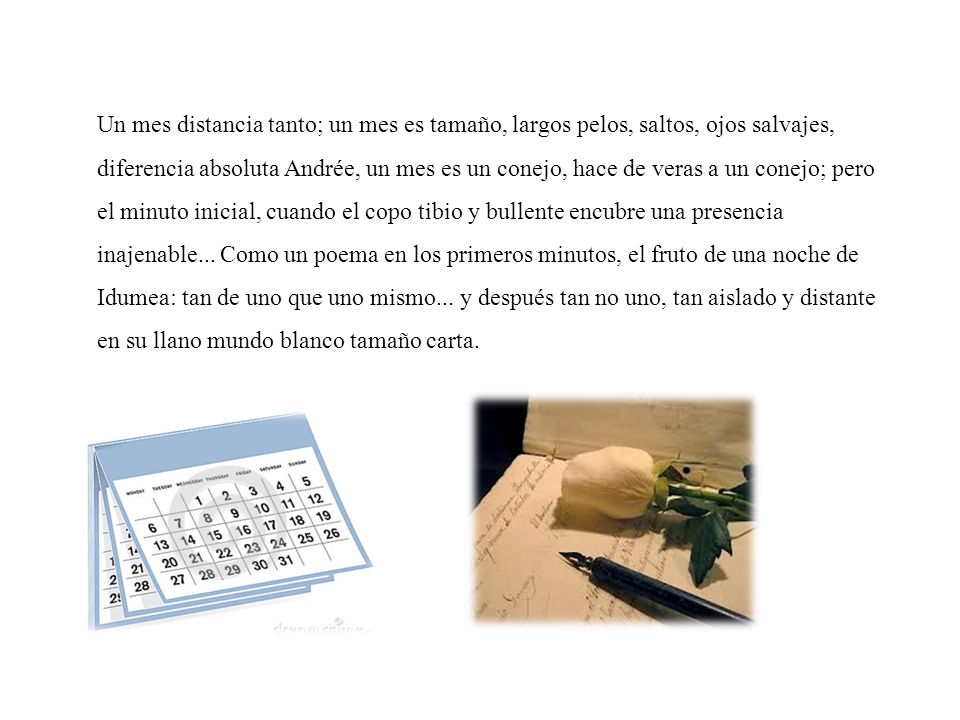 Un mes distancia tanto; un mes es tamaño, largos pelos, saltos, ojos salvajes, diferencia absoluta Andrée, un mes es un conejo, hace de veras a un conejo; pero el minuto inicial, cuando el copo tibio y bullente encubre una presencia inajenable...
