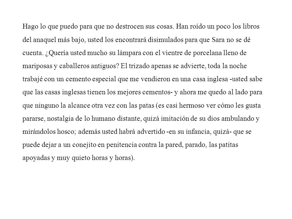 Hago lo que puedo para que no destrocen sus cosas