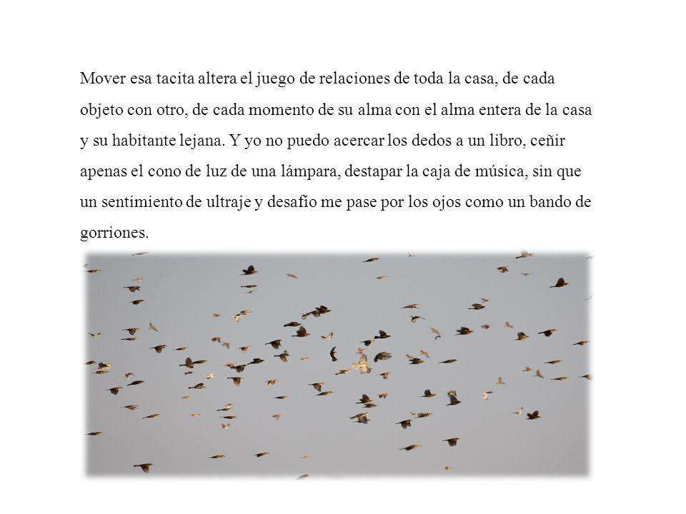 Mover esa tacita altera el juego de relaciones de toda la casa, de cada objeto con otro, de cada momento de su alma con el alma entera de la casa y su habitante lejana.